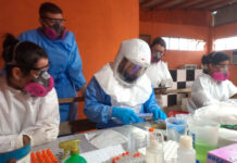 Paraná confirma novos casos de hantavirose