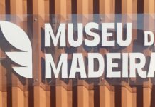 Lavrama S/A valoriza memória da atividade madeireira em museu