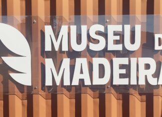 Lavrama S/A valoriza memória da atividade madeireira em museu