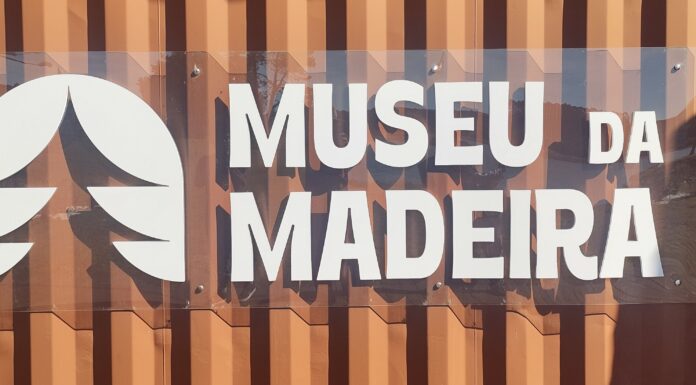 Lavrama S/A valoriza memória da atividade madeireira em museu