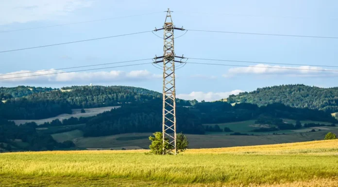 Limpeza próxima à rede elétrica deixa de ser obrigação do produtor
