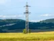 Limpeza próxima à rede elétrica deixa de ser obrigação do produtor