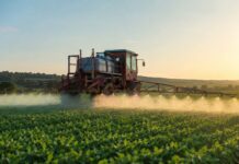 Justiça restringe uso do herbicida 2,4-D no Rio Grande do Sul