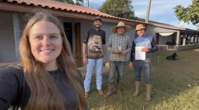 Acadêmicos de Agronomia desenvolvem fungicida à base de alho