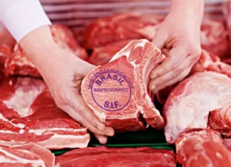 Mercado britânico mantém compras da carne brasileira sob avaliação