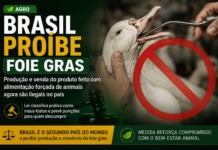 Brasil proíbe foie gras e reforça proteção aos animais