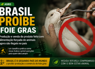 Brasil proíbe foie gras e reforça proteção aos animais