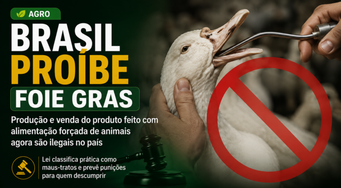 Brasil proíbe foie gras e reforça proteção aos animais