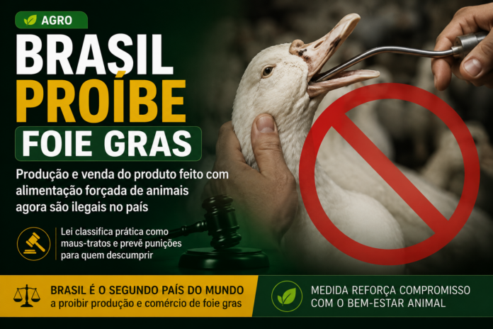Foie Gras