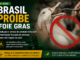 Brasil proíbe foie gras e reforça proteção aos animais