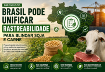 Brasil estuda unificar rastreabilidade da soja e da carne bovina