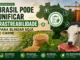 Brasil estuda unificar rastreabilidade da soja e da carne bovina