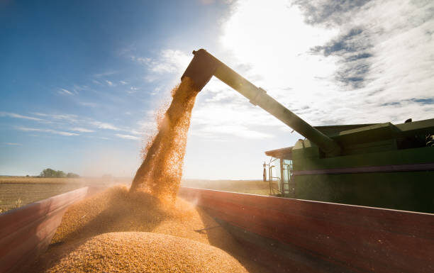 Produção de soja pode cair 2% na safra brasileira 2026/27