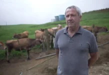 Recomeço no campo: produtor volta à atividade após crise sanitária