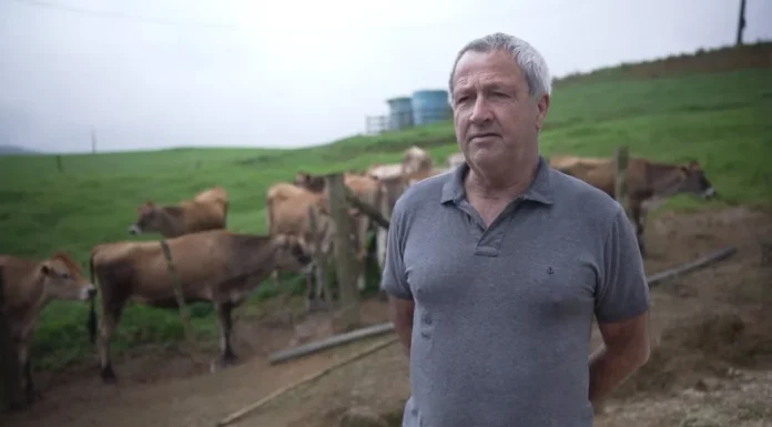 Recomeço no campo: produtor volta à atividade após crise sanitária