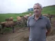 Recomeço no campo: produtor volta à atividade após crise sanitária