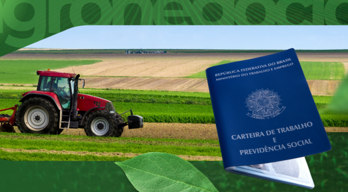 Emprego no campo cresce e reforça papel do agro na economia goiana