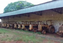 Relíquias do campo: tratores antigos mantêm viva a memória rural