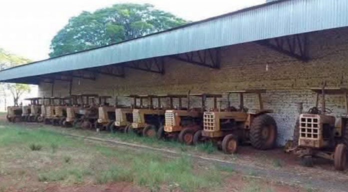 Relíquias do campo: tratores antigos mantêm viva a memória rural