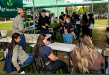 Agronomia no IFPR Palmas busca aproximar jovens da profissão e do campo