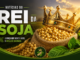 Os reis da soja: 20 municípios dominam a produção brasileira