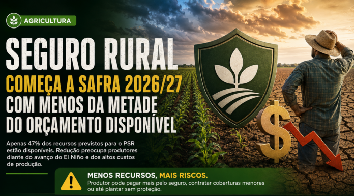 Seguro rural inicia safra com apenas 47% do orçamento disponível