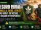 Seguro rural inicia safra com apenas 47% do orçamento disponível