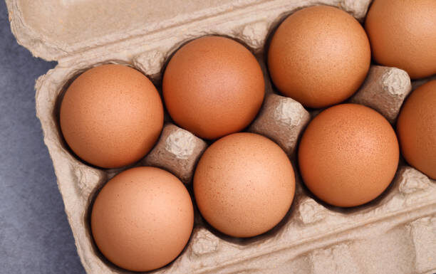 Ovos processados e carne de frango impulsionam setor avícola brasileiro