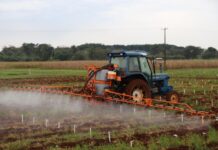 Crédito e clima desafiam mercado de insumos agrícolas no Brasil