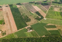 Crédito para compra de terras ainda enfrenta barreiras no campo