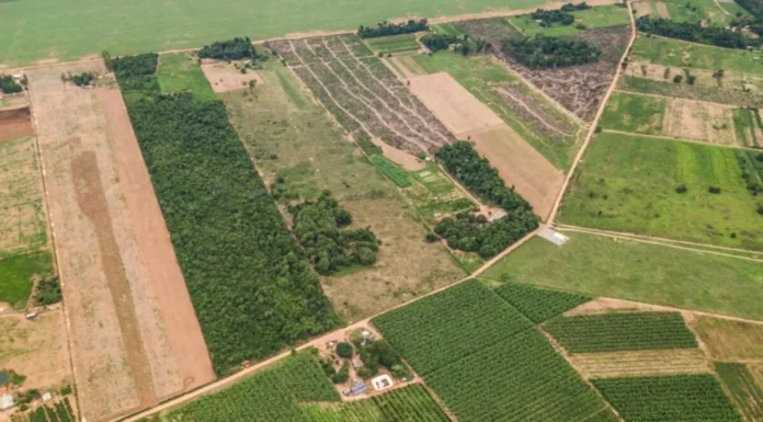 Crédito para compra de terras ainda enfrenta barreiras no campo