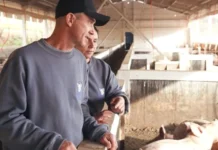 Após 19 anos, casal transforma sonho rural em granja de referência