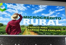 Palmas recebe lançamento do Microcrédito Rural do Fomento Paraná