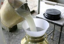 Produção de leite avança no Brasil, porém em ritmo mais lento