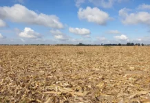 Paraná encerra período de seca após sequência de chuvas acima da média