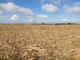 Paraná encerra período de seca após sequência de chuvas acima da média