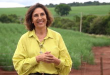 De advogada a produtora rural: mulher revoluciona gestão de fazenda familiar