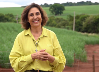 De advogada a produtora rural: mulher revoluciona gestão de fazenda familiar