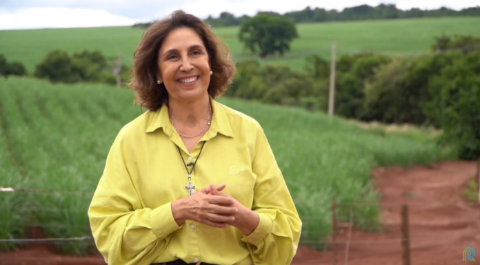 De advogada a produtora rural: mulher revoluciona gestão de fazenda familiar