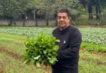 Horta urbana de Zeca Pagodinho une agricultura e transformação social