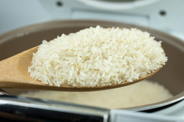 Arroz