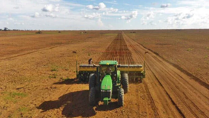 Três estados aceleram plantio da soja, enquanto Sul enfrenta chuvas