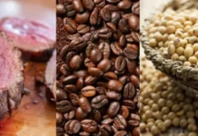 Carne, café e soja terão de comprovar origem para entrar na Europa
