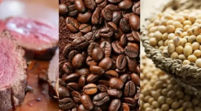Carne, café e soja terão de comprovar origem para entrar na Europa