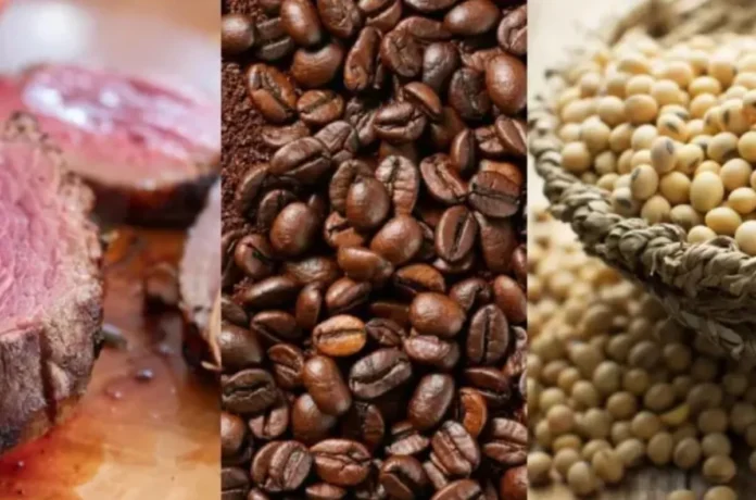 soja-cafe-e-carne-1.jpg